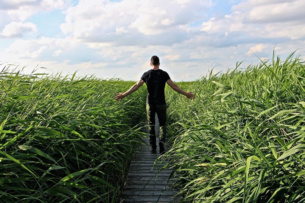 powerful-habits-of-successful-people