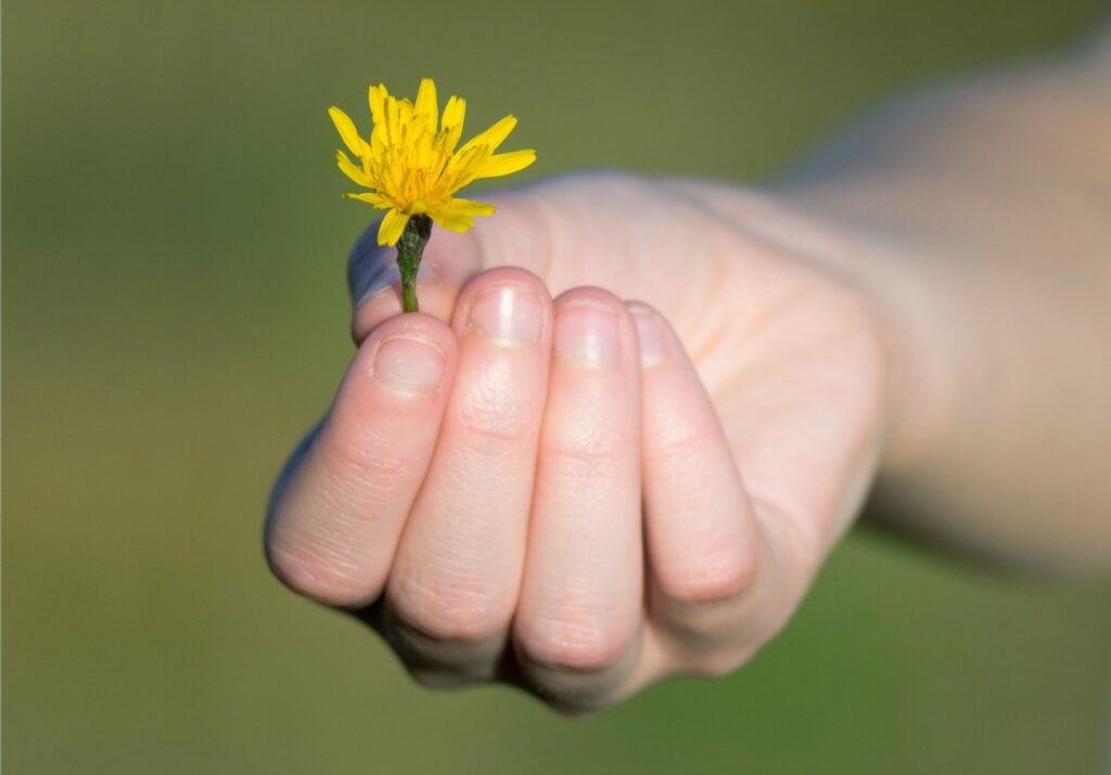 Valentines-day-manifestation-rituals