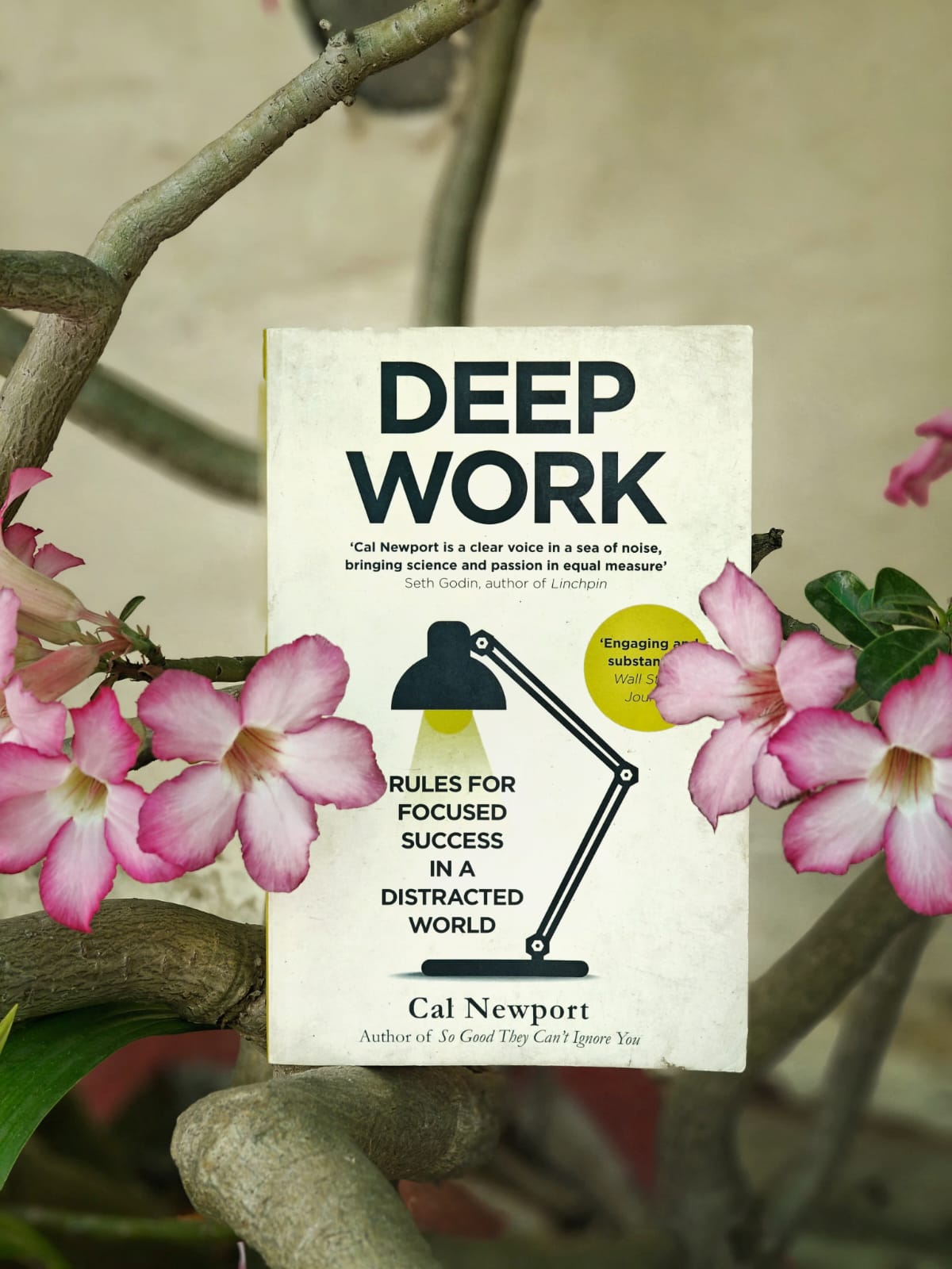 deep-work-cal-newport