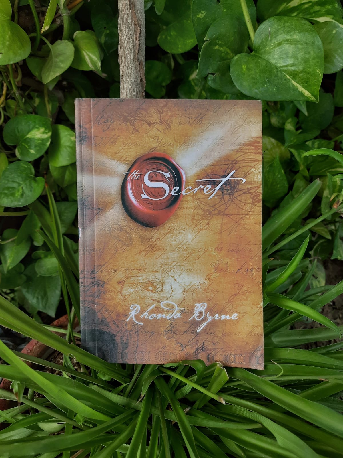 the-secret-rhonda-byrne