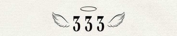 333-manifestation-technique