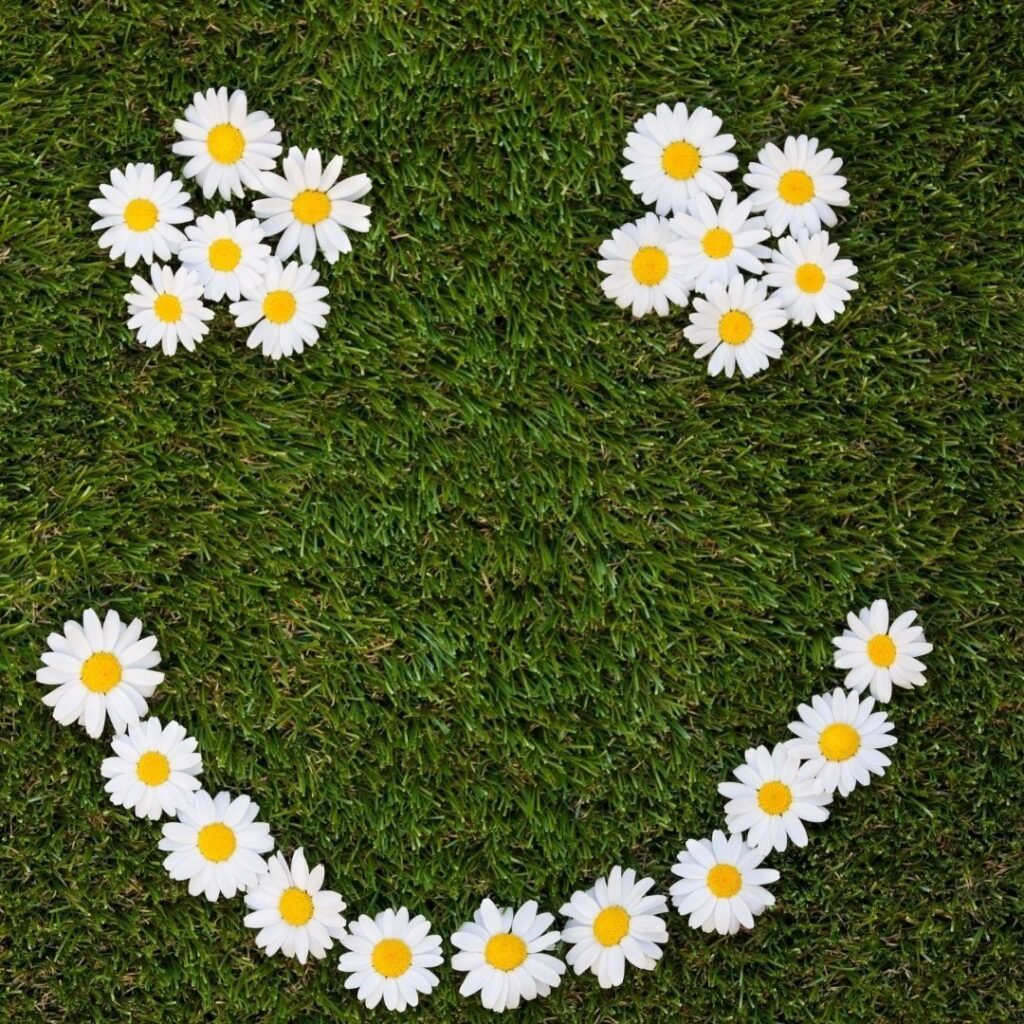 White flowers arranged as smiley face on green grass